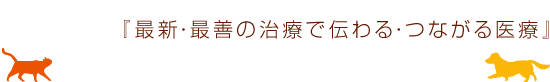 『最新・最善の治療で伝わる・つながる医療』　ひらの動物病院